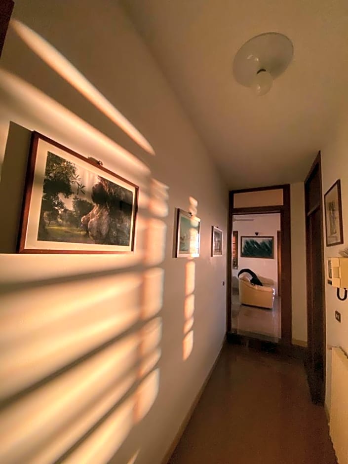 B&B Stars and Stripes