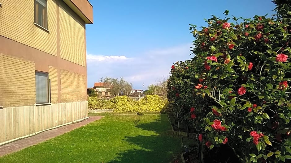 B&B Casa degli Ulivi