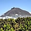 Alma do Pico - Nature Residence