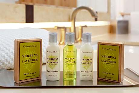 King Room with Accessible Roll in Shower