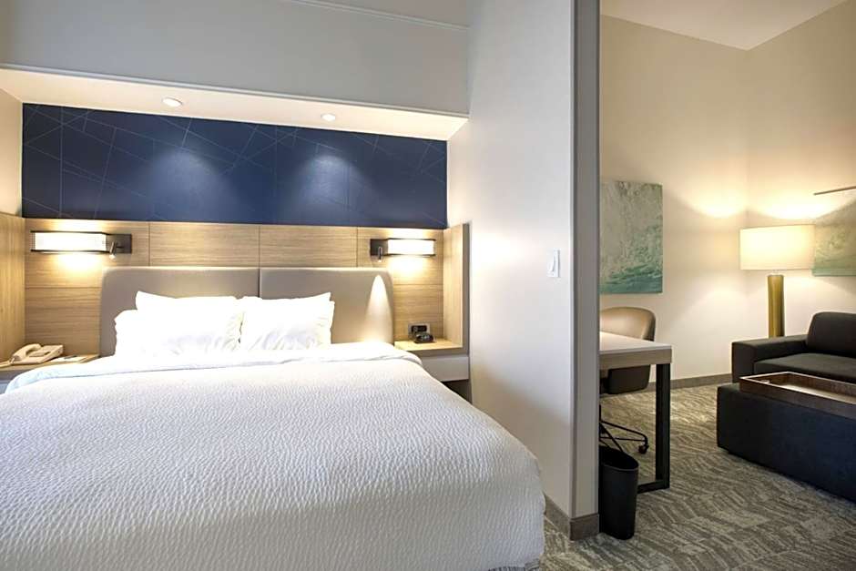 SpringHill Suites by Marriott Savannah I-95 South