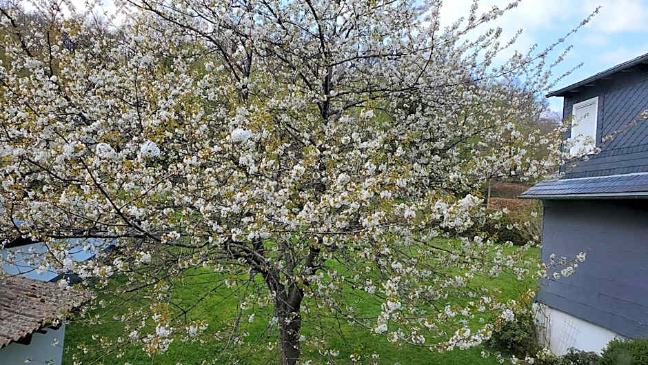Landgasthof Steuber - Hotel garni