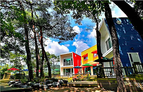 Hoengseong A day in the forest