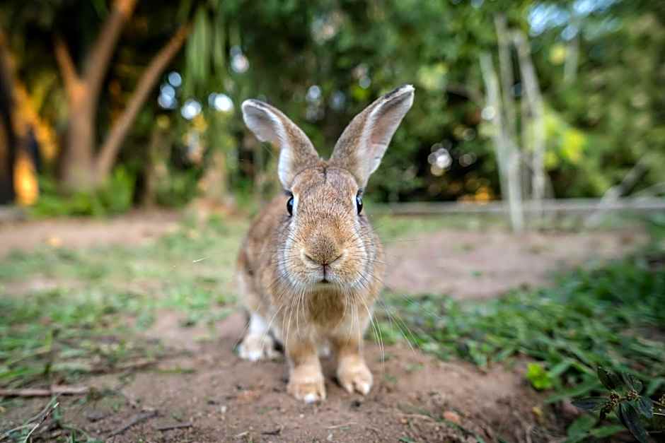 Sunbirds Oasis Lodge