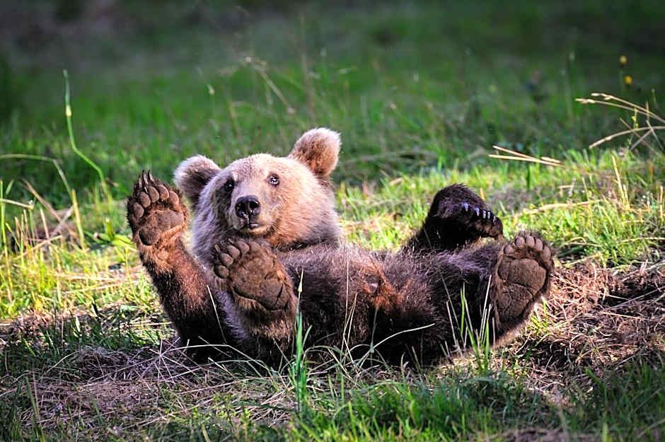 Youth Hostel Arsviva