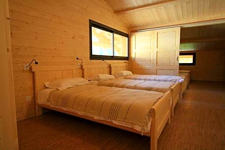 Mixed Dormitory Room