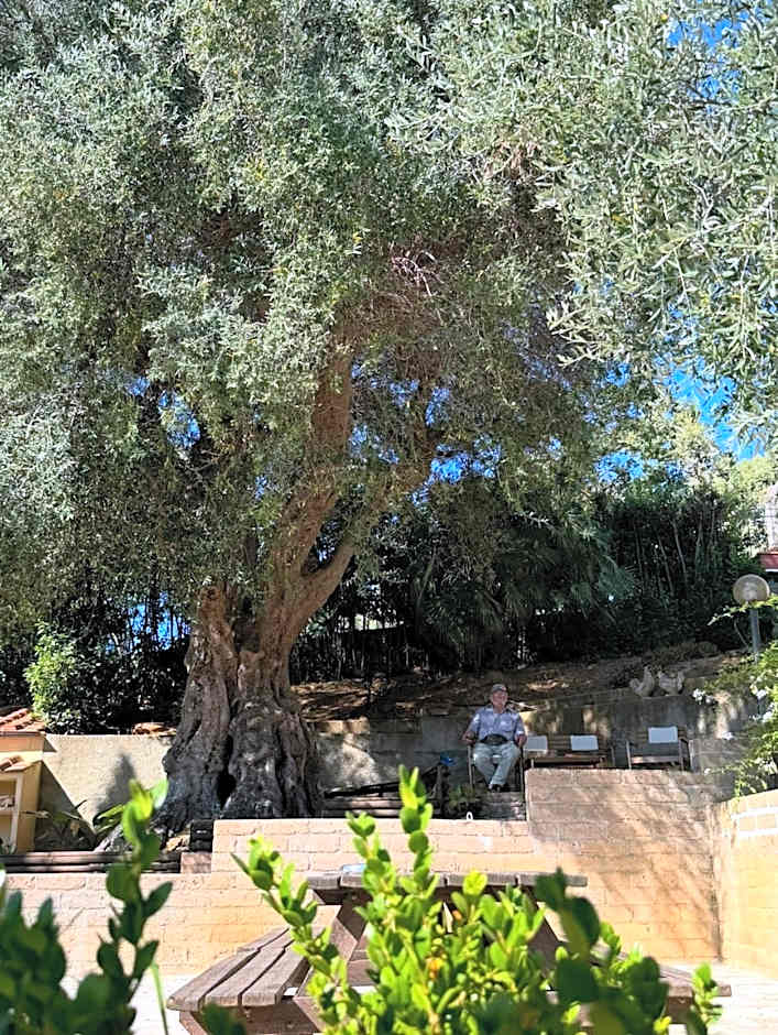 Madonna del Poggio B&B