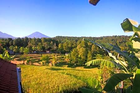 Yoga Homestay