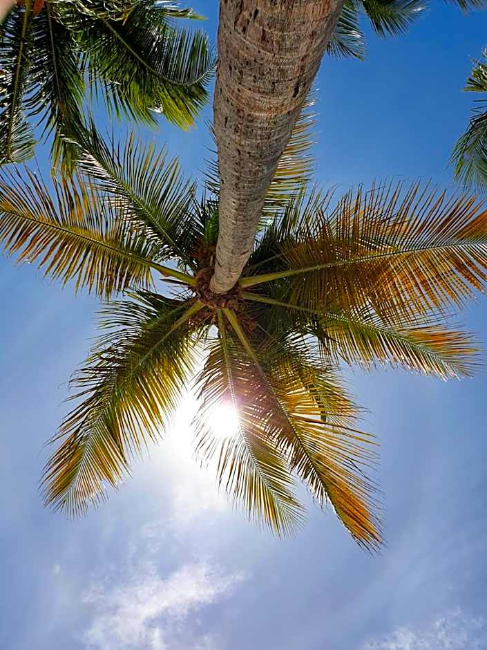 gîtes Studio de tourisme du Domaine Piscine Spa Balnéo