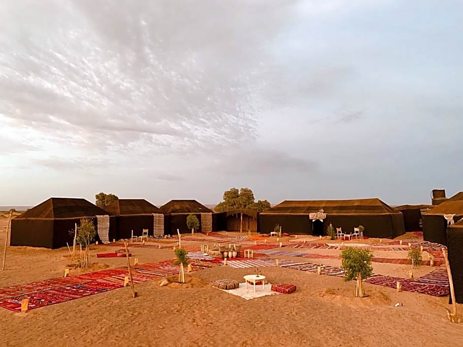 Sahara wellness camp