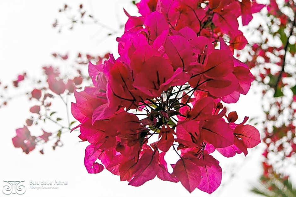 Baia Delle Palme Beach