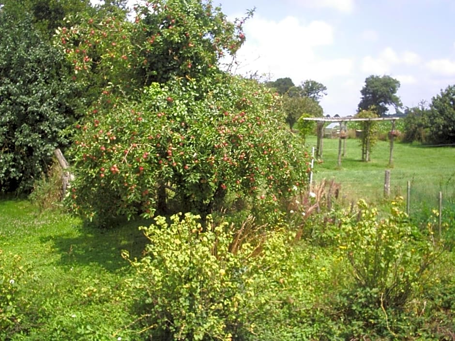 Chambres d'hôte Honey Orchard Farm