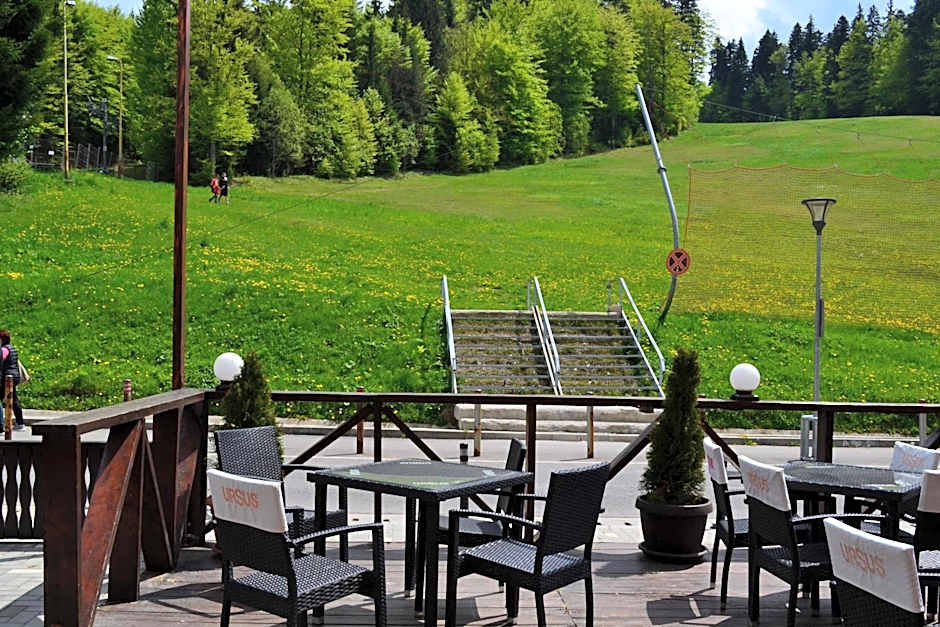 Cabana Fulg De Nea Predeal