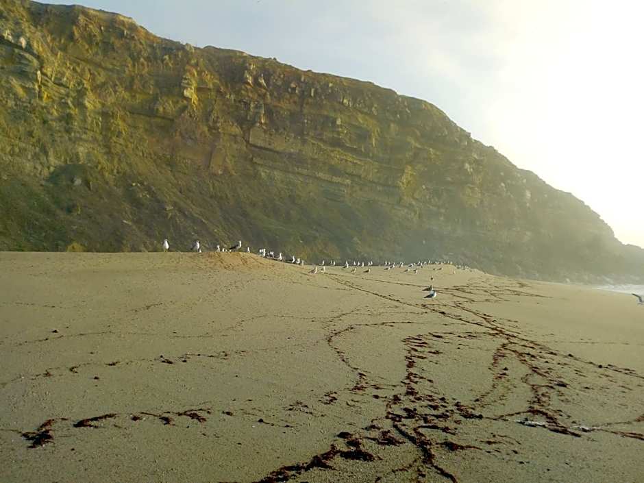 Arthouse Surf Ericeira