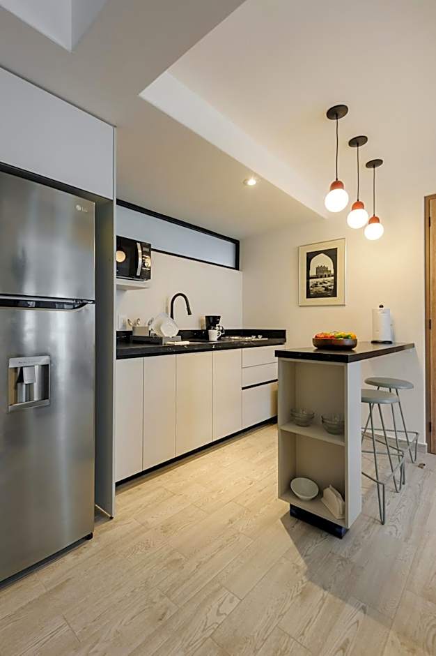 Choapan 28 - Lux Apartments in Condesa