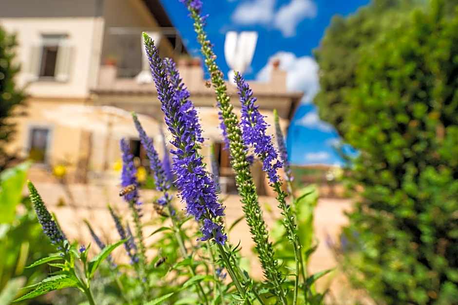 Villa Campomaggio Resort & SPA