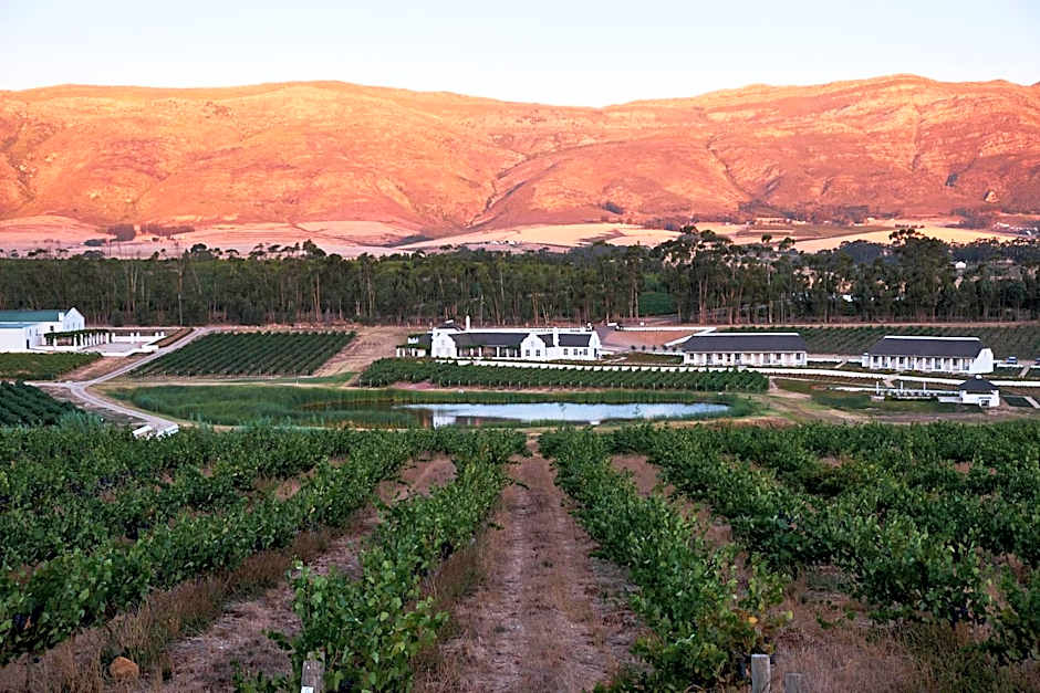 Rijk's Wine Estate & Hotel