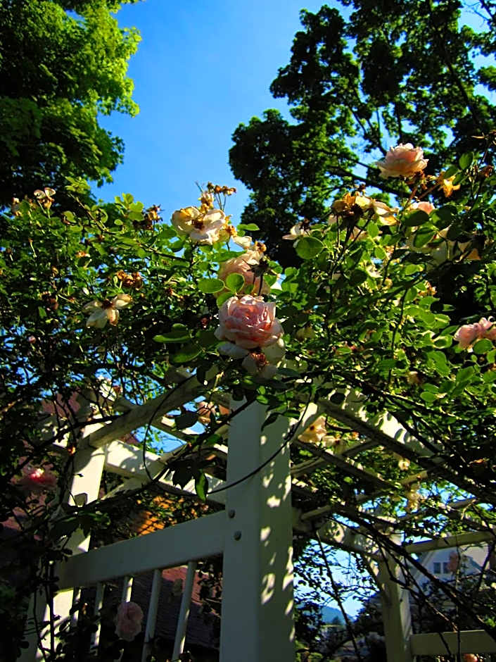 The Queen, A Victorian Bed & Breakfast