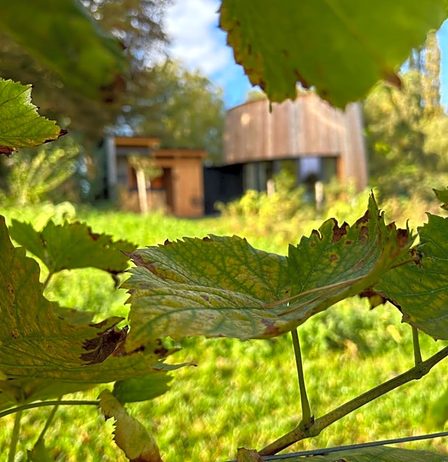 Cabanes avec jacuzzi les pieds dans la vignes