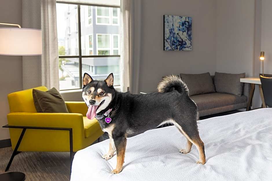 Hilton Garden Inn Redmond Town Center, WA