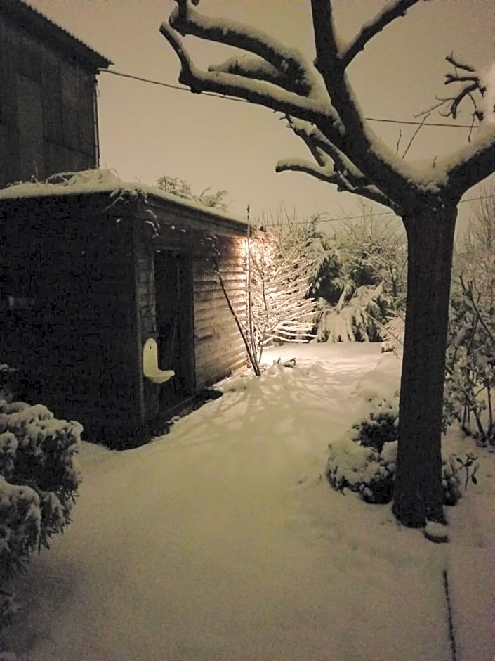 Chambre d'hôtes de charme, un temps en forêt