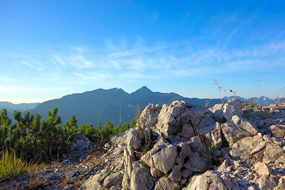 Gasthof Dietrichshorn