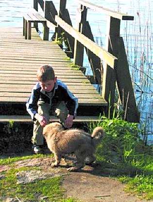 Hotel Farchauer Mühle