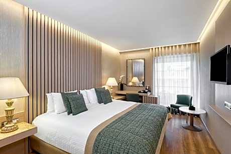 Executive Double Room with Acropolis view