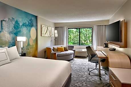 King Room with Sofa Bed