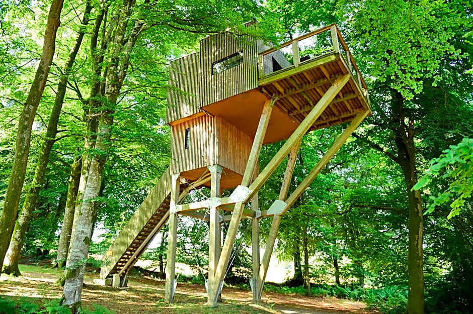 L'étape en forêt