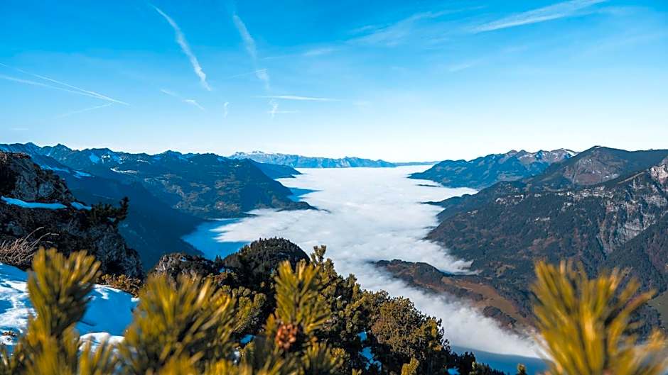 Felbermayer´s Bed & Breakfast