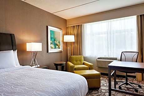 1 King Bed