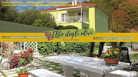 B&B Elfo degli Ulivi