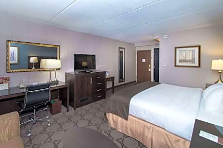 1 King Bed Junior Suite Non-Smoking