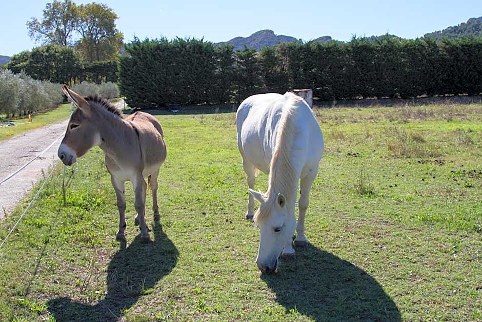 Les Résidences de Métifiot