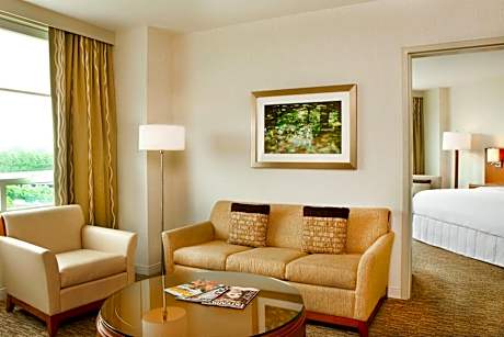 Suite, 1 King, Sofa bed, Lake view