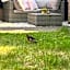 Bed & Breakfast Yerseke