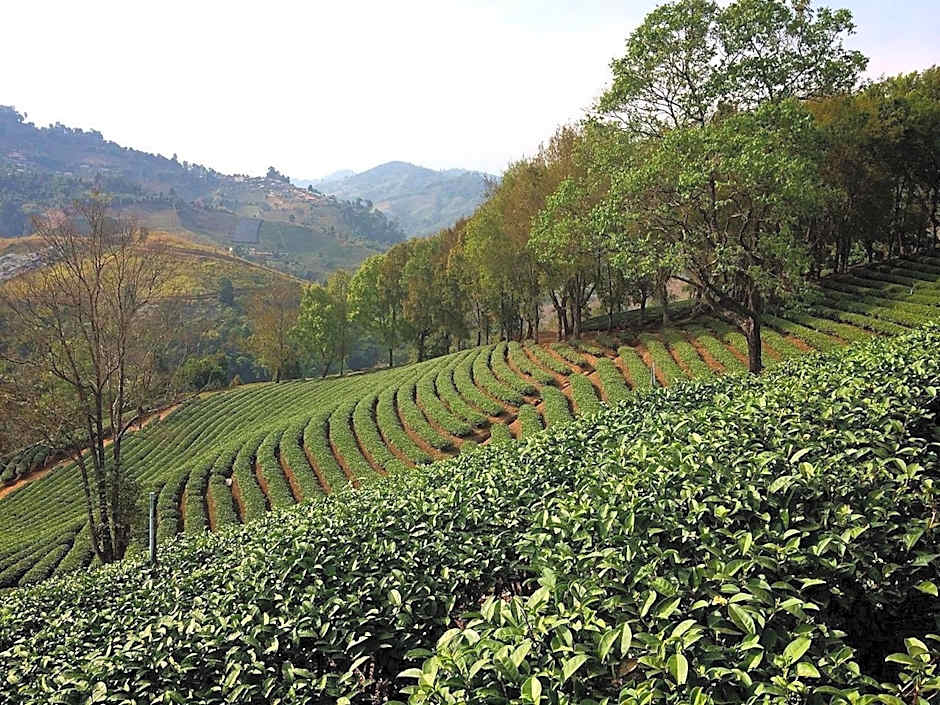 Wang Put Tan Boutique Hotel