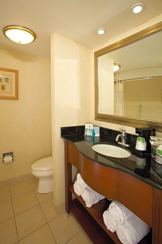 Hampton Inn Alexandria