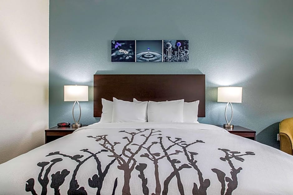 Sleep Inn & Suites Ankeny - Des Moines