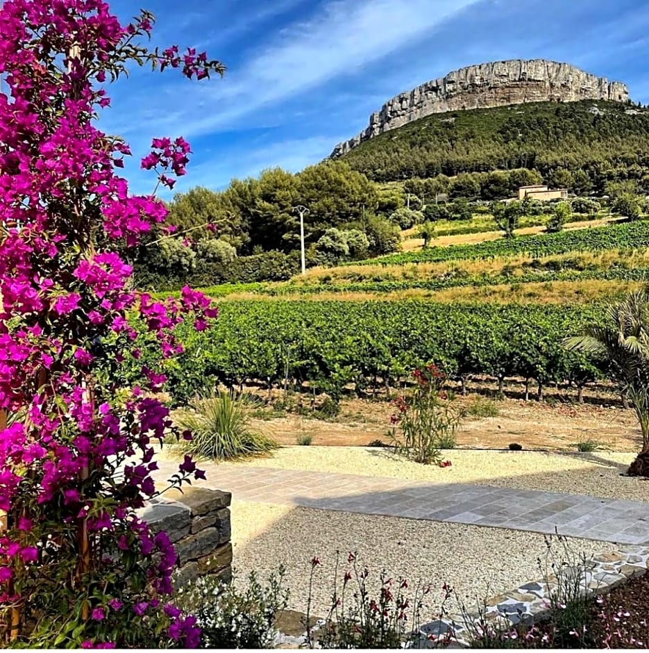 Côté vignes cassis