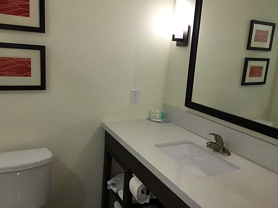 Comfort Inn & Suites Snyder