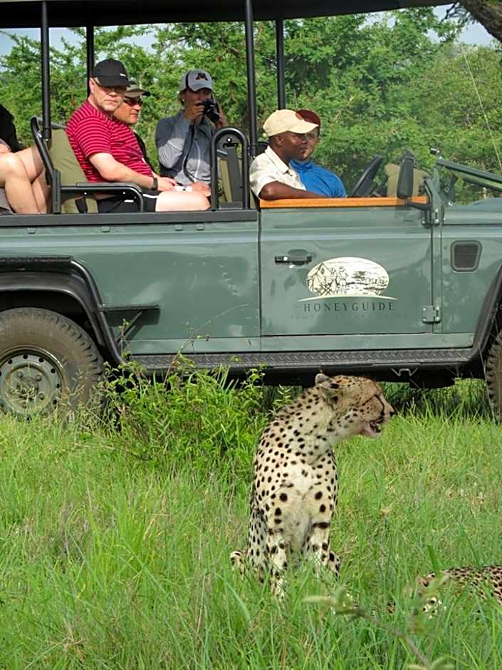 Honeyguide Tented Safari Camp - Khoka Moya