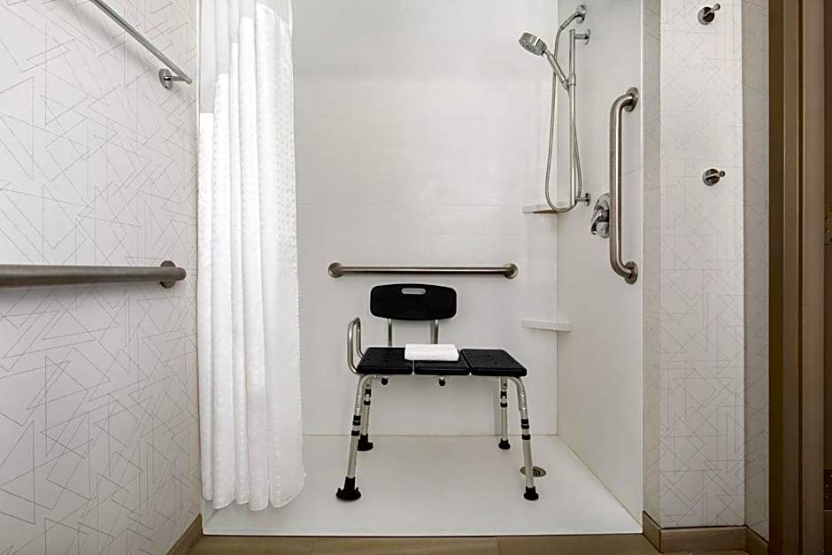 Holiday Inn Express & Suites Greenville-Downtown by IHG
