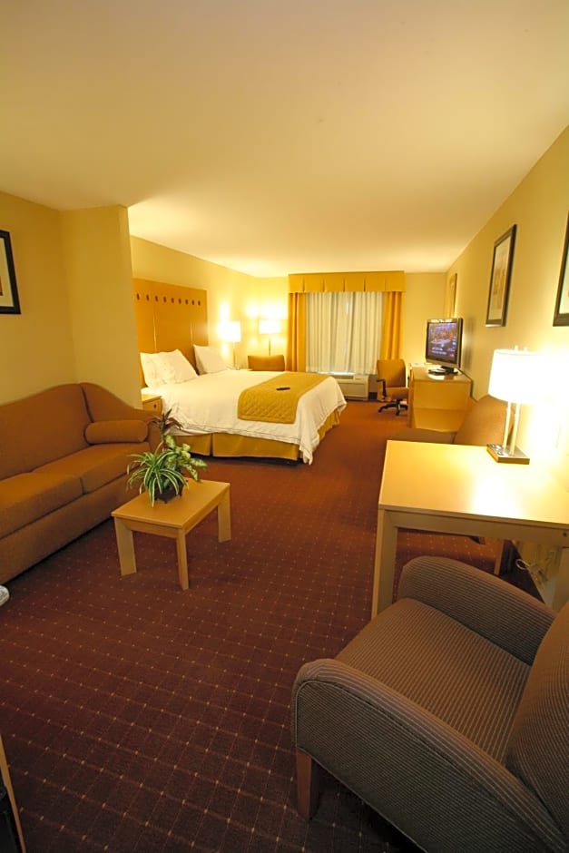 Holiday Inn Express Saltillo Zona Aeropuerto By IHG