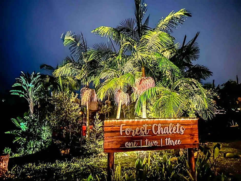 Adventurer's Escape HQ