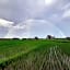 Pondok Gandalangu Ubud-Dikelilingi Hamparan Sawah