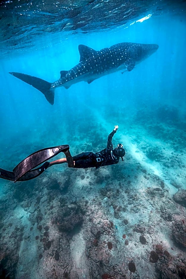 Endheri Sunset Dhangethi