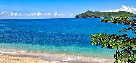 Castaway Surf Retreat
