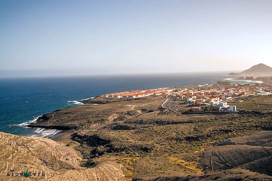 Aloe Vera Shared House